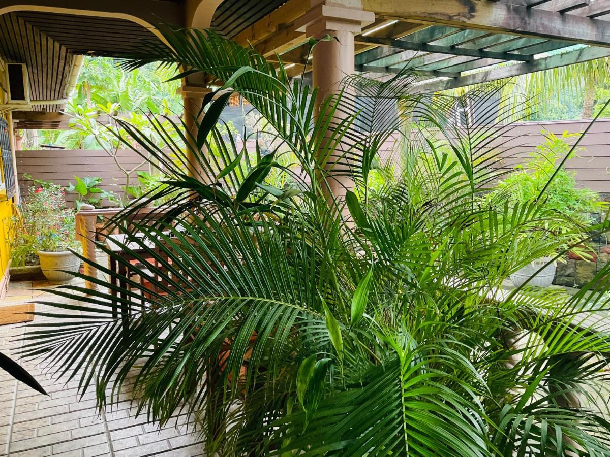 Effie Mountain View Coco Villa Misere Exterior photo
